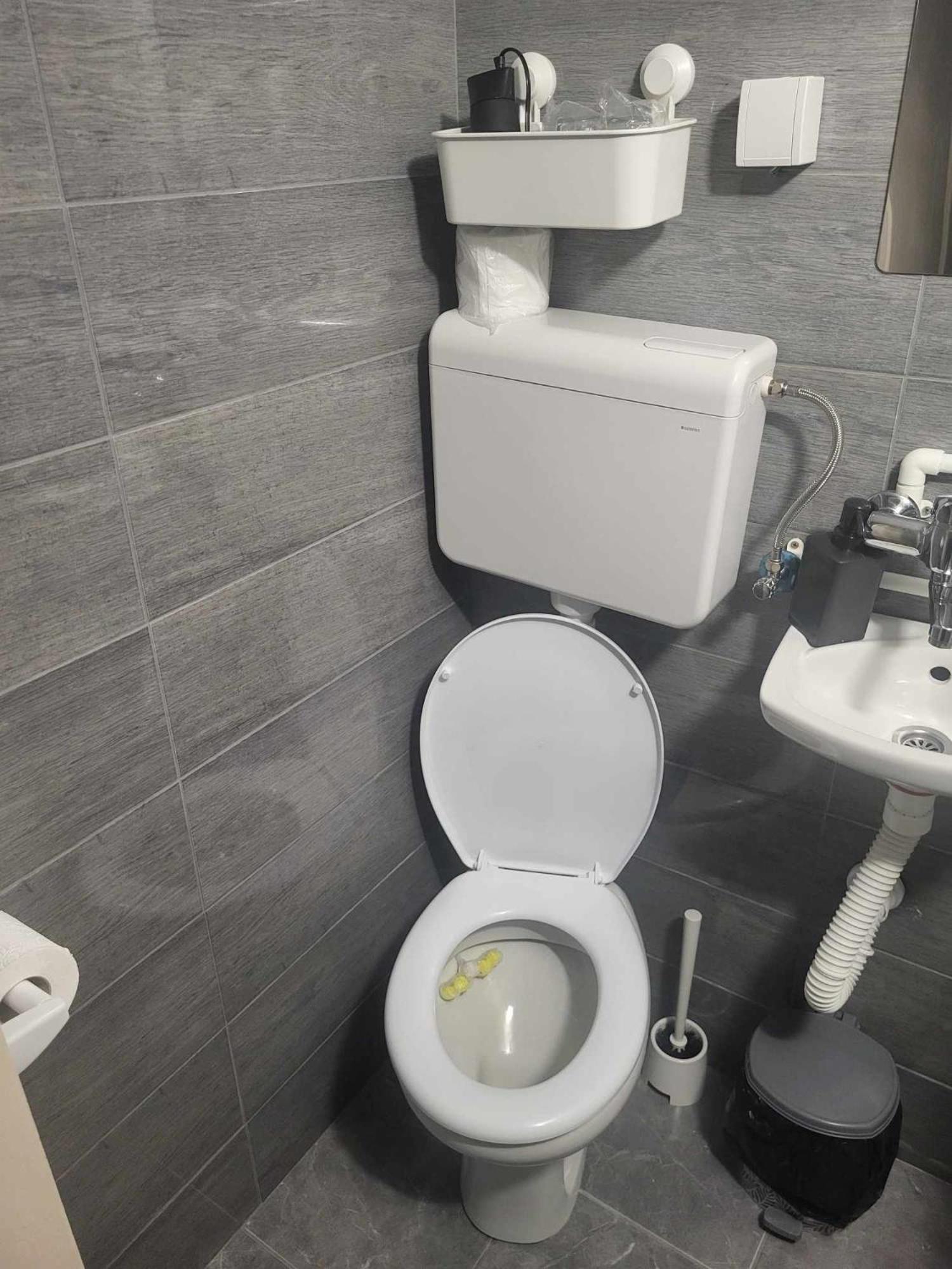 Apartman Djokic 2 Požarevac Eksteriør billede